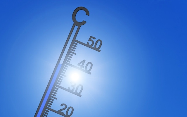 Пържим се на 40°C на  7-8 юли, на 10-11 ни удрят гръмотевични бури с градшки