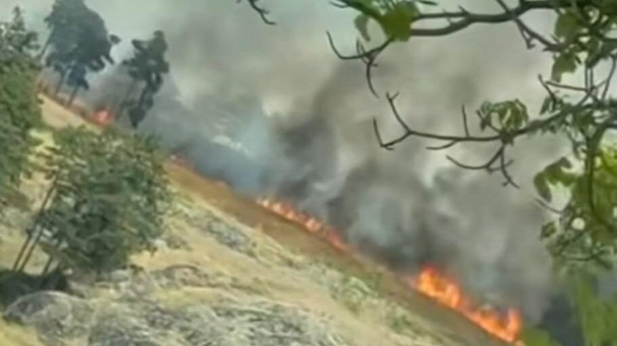 Огнената опасност край Пирин остава, мъж ще бъде глобен за палене на огън в село Плоски