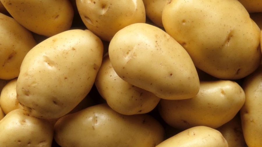 Воден бизнес: Установиха незаконна система за поливане на ниви с картофи от река Ерма