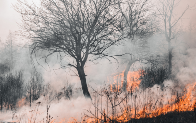 Продължава борбата с пожарите (ОБЗОР)