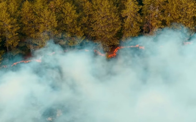 Бедственото положение в Сунгурларе остава