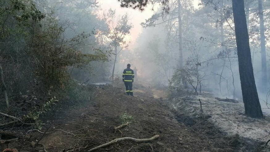 Кметът на Сунгурларе: Не помня досега да е имало пожар с такива мащаби