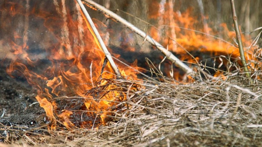 Голям пожар в Шумен, пламъците са в близост до електрическа подстанция