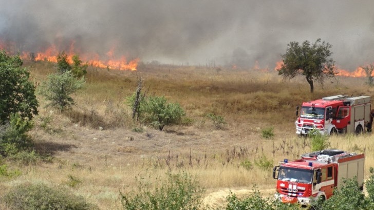 Властите: Огнеборците се борят с 41 пожара