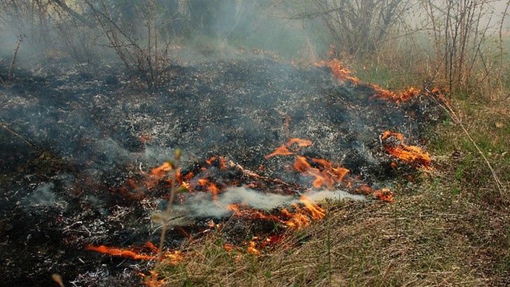 Локализиран е пожарът край Сунгурларе, но все още не е загасен