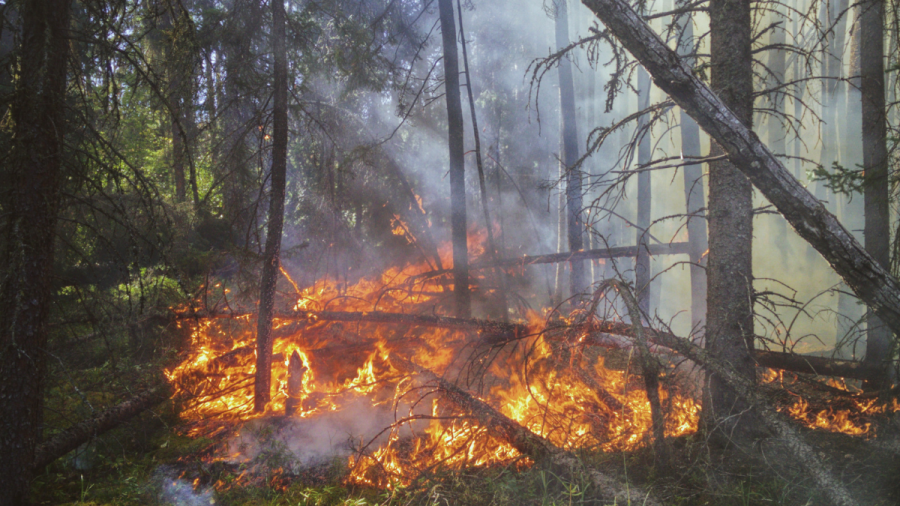 Овладяха огнения ад в Сунгурларе