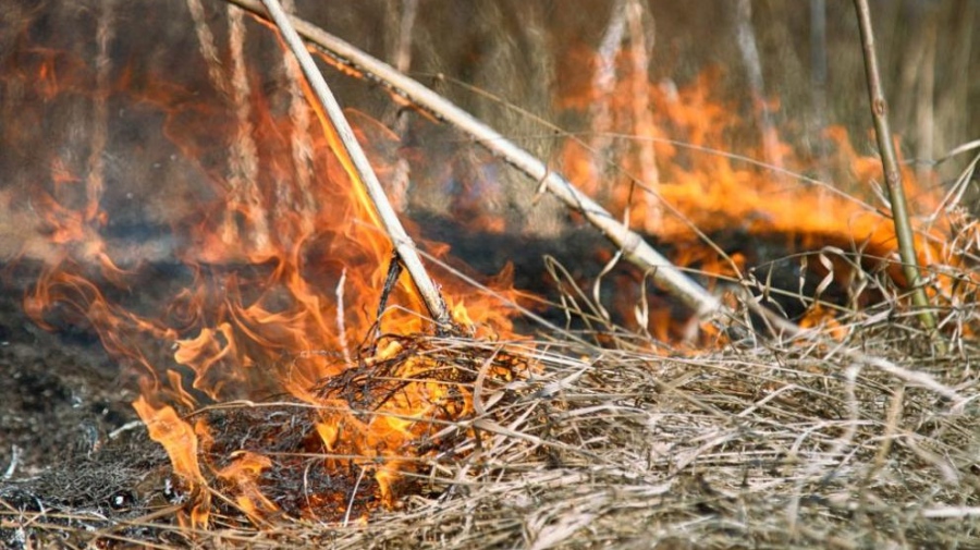 Пожар е възникнал в землището на Угърчин