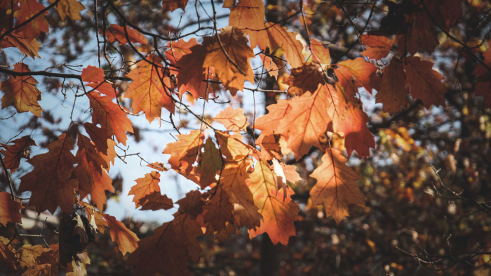 Климатологът Симеон Матев: Краят на лятото настъпи!