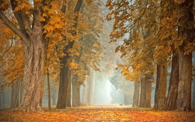 Кога идва студът? Месечна прогноза за времето през ОКТОМВРИ