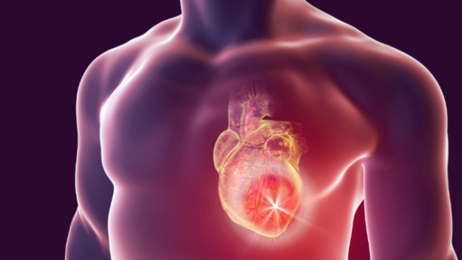 В България се намира регионът с най-висока смъртност от сърдечно-съдови заболявания в ЕС