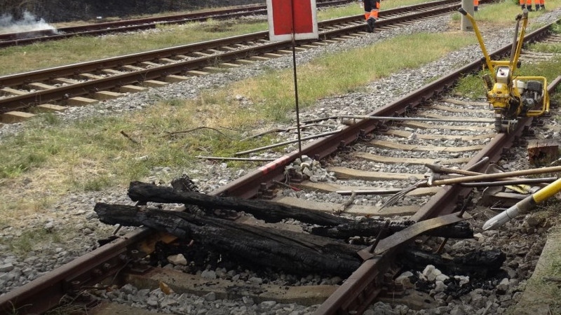 Заради паднали дървета: Промени в разписанието на БДЖ