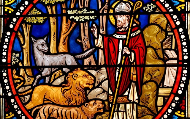 Честваме Световния ден на животните: Св. Франциск закриля и диви, и домашни любимци