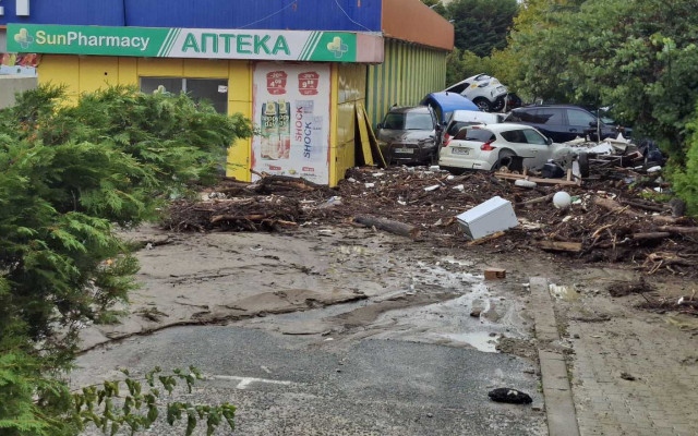 Доброволци от Пловдив и Бургас се включиха във възстановяването на "Елените"