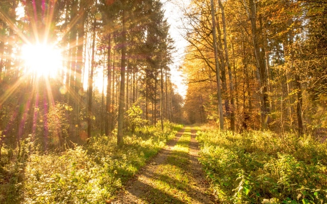 Слънчева неделя, но през нощта идва нова порция валежи