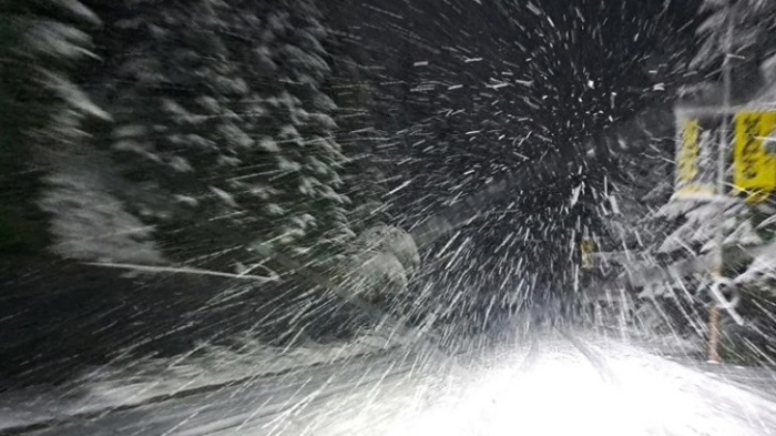 Сняг вали на "Пампорово", "Рожен" и "Превала"