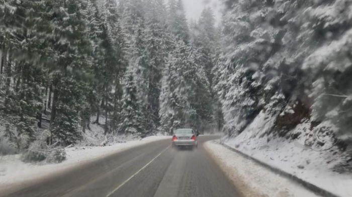 Сняг заваля в област Смолян, снежната покривка е между 5 и 10 сантиметра