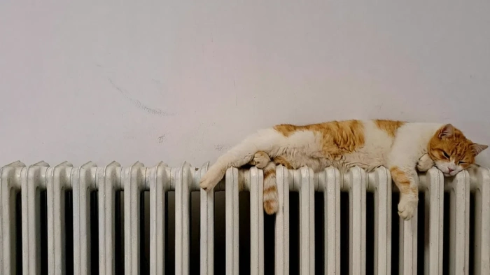 "Топлофикация Перник" започва поетапно пускане на парното