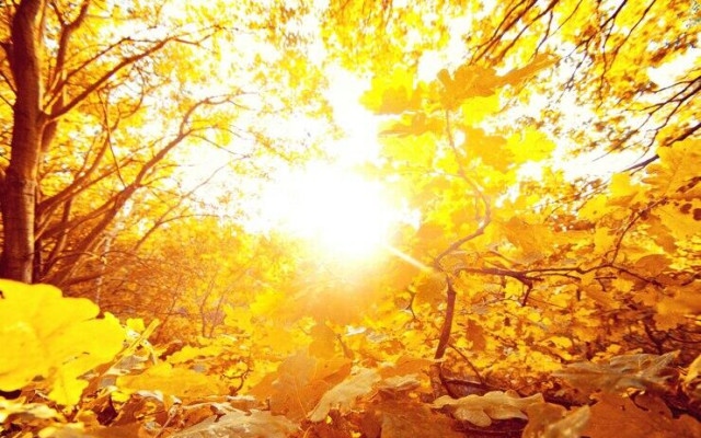 Циганско лято  в края на октомври: 25°C и много слънце