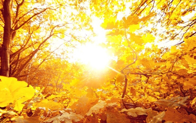 НИМХ с пълна прогноза за времето през цялата седмица