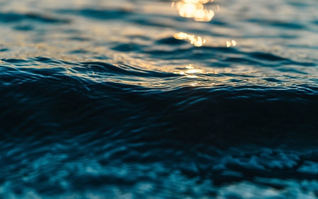 Пулсиращи стенания записаха в дълбините на океана