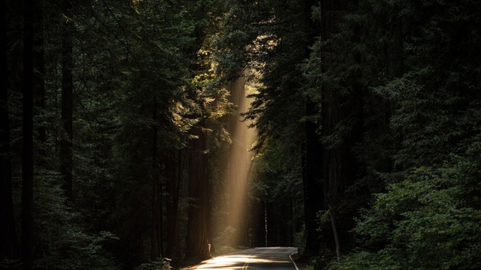 Суперкомпютър изчисли точната година на края на света