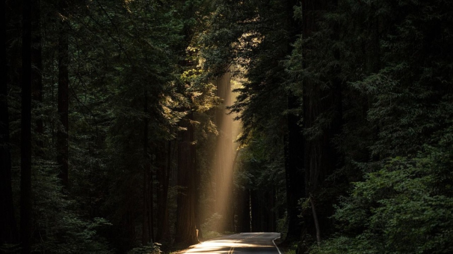 Суперкомпютър изчисли точната година на края на света