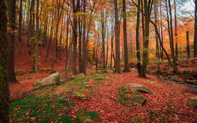 Първа прогноза: Какво ще е времето през ноември?