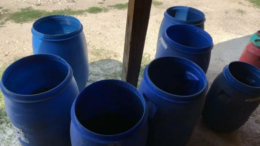 Топлото време забави подготовката за кисело зеле в Русе