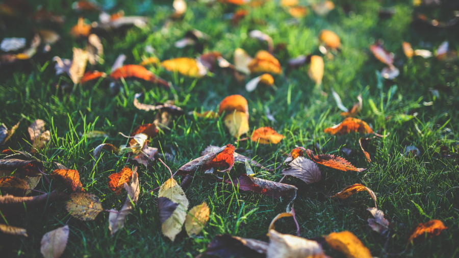 Петър Янков: Температурите рязко ще се повишат