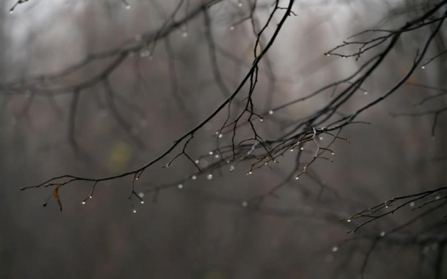 Дъжд и облаци в петък, между 11° и 16°С