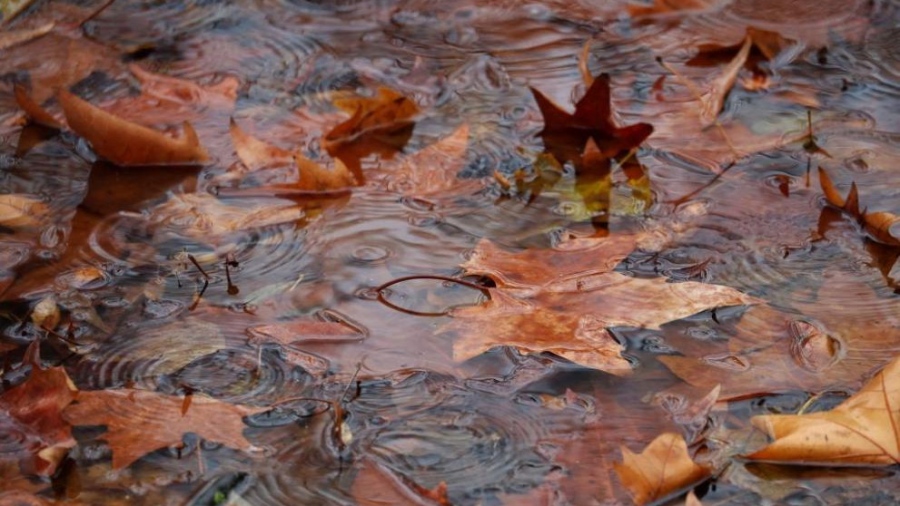 Гърция под вода: Стена се срути върху кола на Корфу, има и паднали дървета