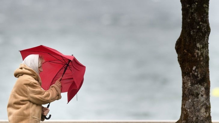 НИМХ обяви жълт код за силен вятър 17 области на страната