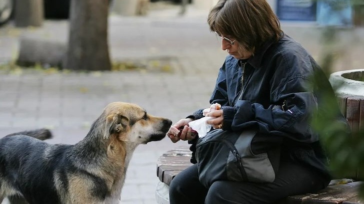 България заделя близо 20 процента от БВП за социални помощи