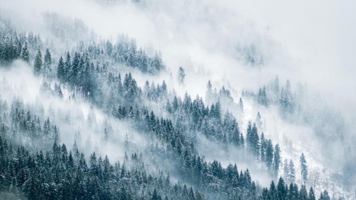 На прага на зимния сезон: Важни съвети за безопасност в планината и по ски пистите