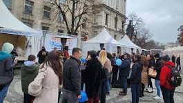 Часове преди Никулден: Рибен фест в София с атракции, пазар и кулинарни демонстрации