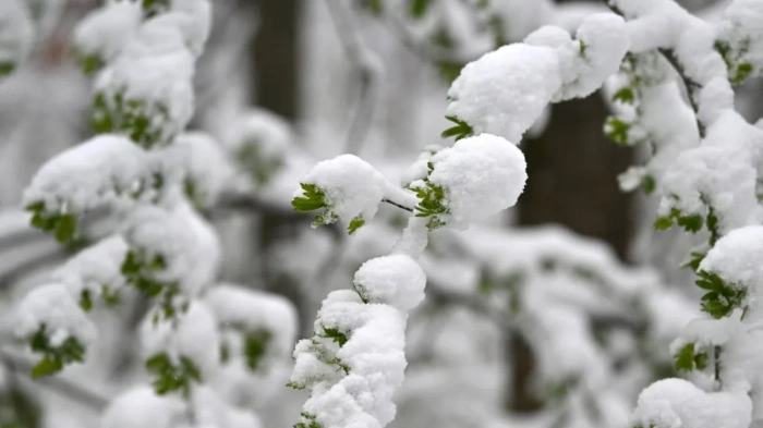Любителите на зимата ще бъдат разочаровани, застудяване се очаква в периода 15–17 декември