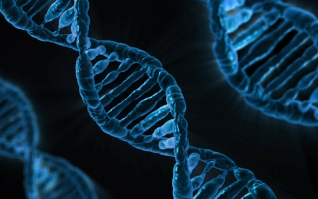 От донор с мутация, причиняваща рак, са заченати близо 200 деца в Европа