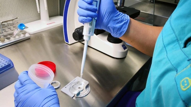 Банка за сперма е разпространявала генетично рисков донор, близо 200 деца може да са засегнати