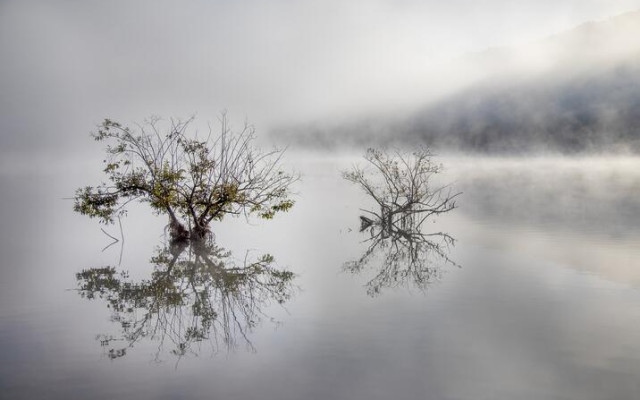 Мъгливо утро, започва застудяване