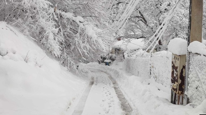 Коледният сняг прекъсна тока в десетки населени места у нас