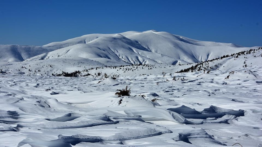 40 см сняг на петата по височина планина в България