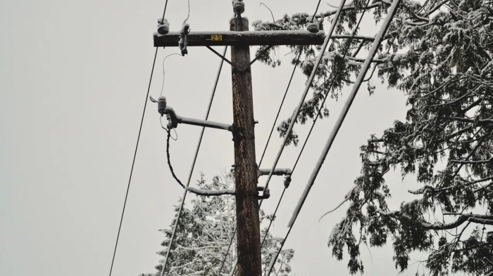 Продължават проблемите с електрозахранването в Северозападна България