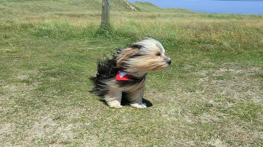 Има опасност от падащи предмети, не стойте на открито