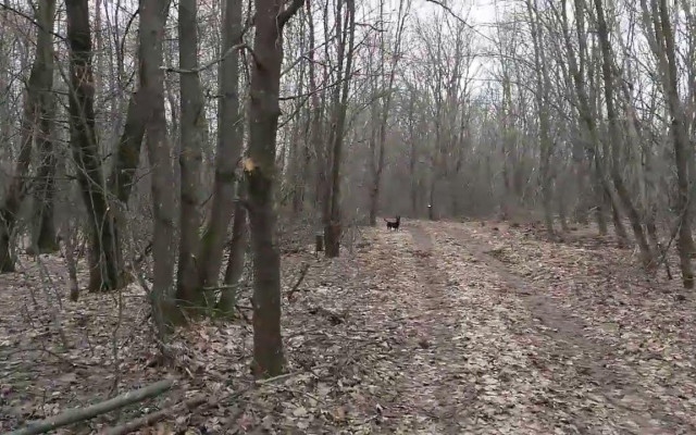 Времето: Силен вятър, застудяване и риск от щети