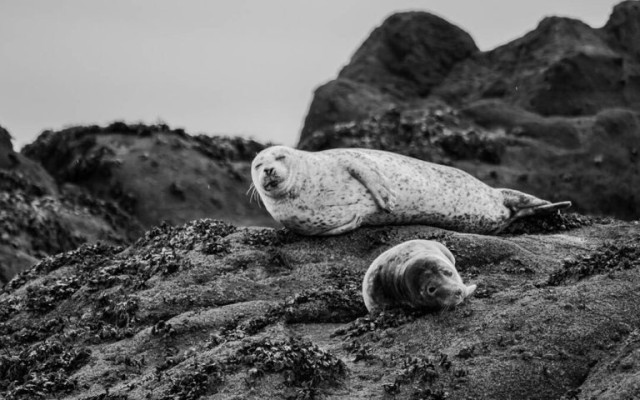 Вирус извън контрол заплашва света с пандемия през 2026 г.