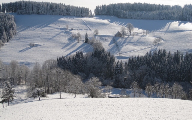 Януари носи истинската зима в България (МЕСЕЧНА ПРОГНОЗА)