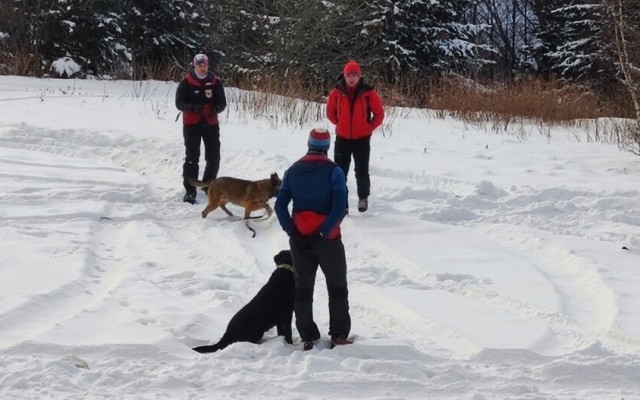 И кучета издирват 22-годишния младеж, изчезнал на Витоша