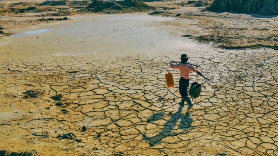 2025 г. е сред най-топлите години в историята