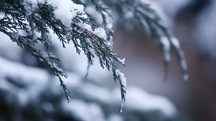 Петър Янков: Гответе се за рязко застудяване и поледици