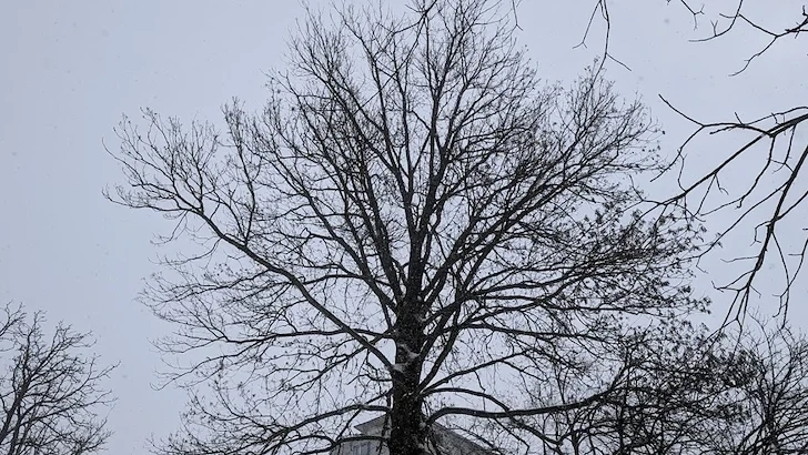 НИМХ: Времето се разделя между 15 градуса на юг и студ на север